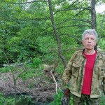 soning, 66 (3 , 0 )
