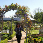 Nora, 62 (3 , 0 )